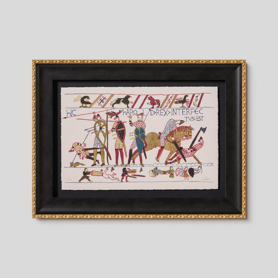 Bayeaux Illuminated - Harrold
