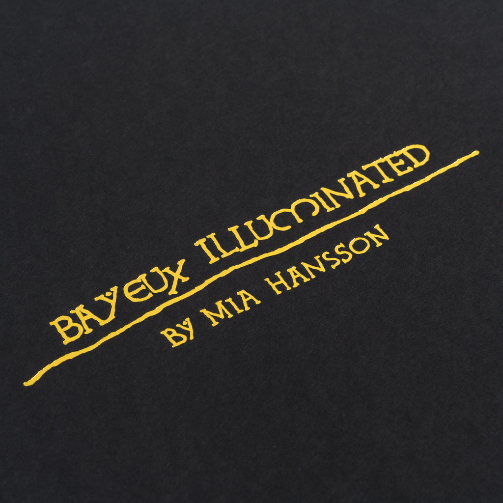 Bayeaux Illuminated - Coronation